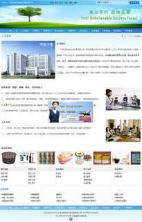上海天照科技網(wǎng)站建設(shè)案例解析 尤釋網(wǎng)網(wǎng)頁制作與網(wǎng)絡(luò)工程技術(shù)咨詢服務(wù)